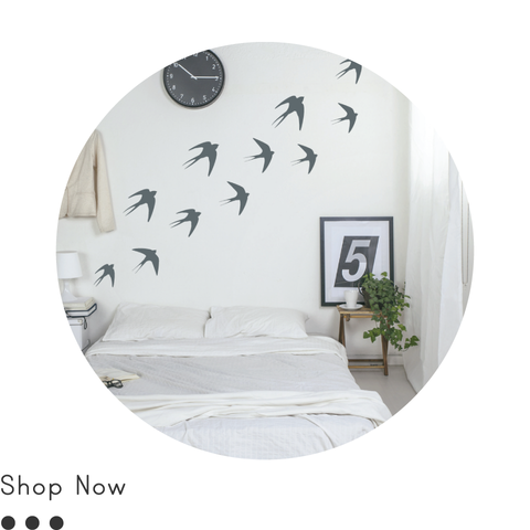 Birds & Animals