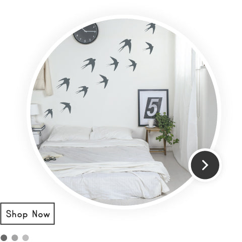 Birds & Animals