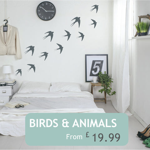 Birds & Animals